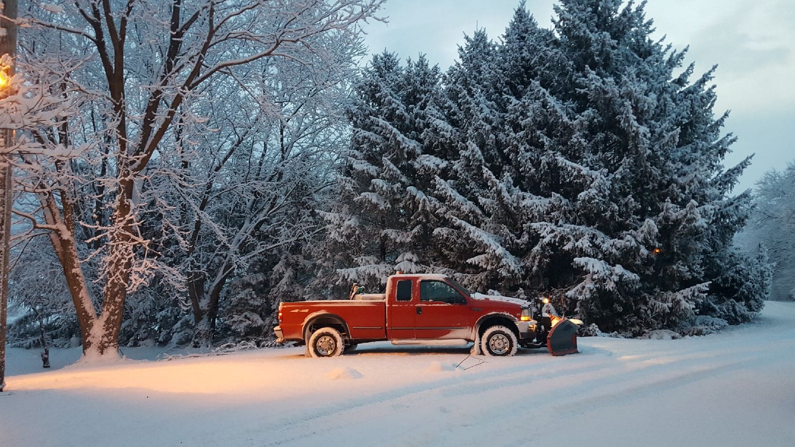 A red truck parked in the snow near some trees.